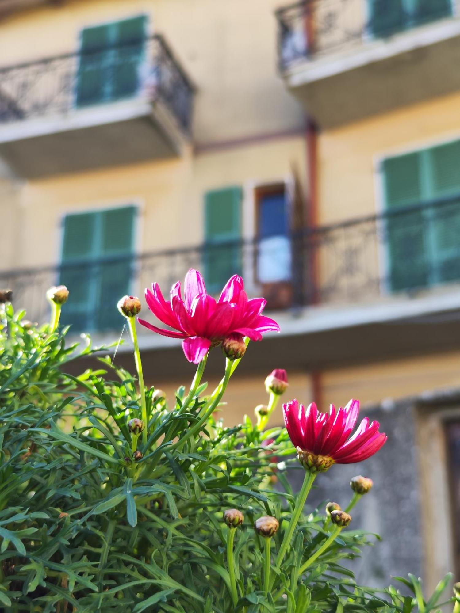 Casa Agello B&B Ripatransone Kültér fotó